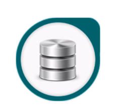 Ícone SQL